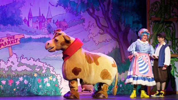 (Photo - Tom Heaney, nwpresspics)